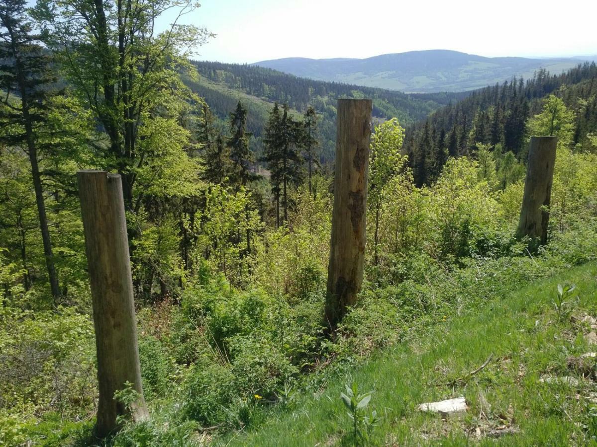 Apartmány Sport Dolní Morava Esterno foto